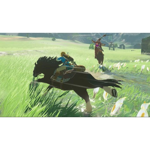 Гра The Legend of Zelda: Breath of the Wild для Nintendo Switch (Картридж) SUB