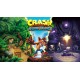 Гра Crash Bandicoot N'sane Trilogy для Nintendo Switch (Картридж) ENG