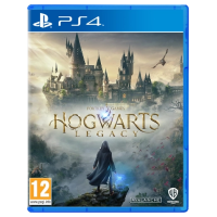 Игра Hogwarts Legacy для PS4 (Blu-ray диск) SUB Б/У
