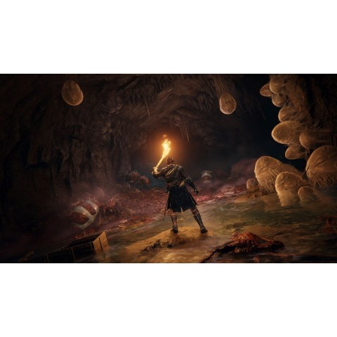 Гра Elden Ring для PS4 (Blu-ray диск) SUB Б/В
