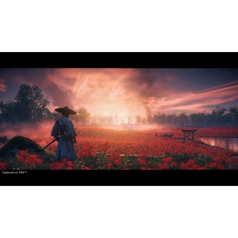 Гра Ghost of Tsushima: Director's Cut для PS4 (Blu-ray диск) RUS Б/В