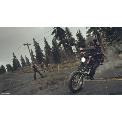 Гра Days Gone для PS4 (Blu-ray диск) RUS Б/В