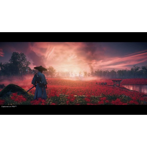 Игра Ghost of Tsushima для PS4 (Blu-ray диск) RUS Б/У