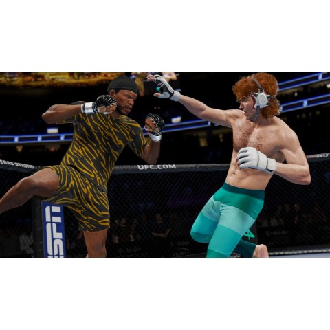 Гра UFC 4 для PS4 (Blu-ray диск) SUB Б/В