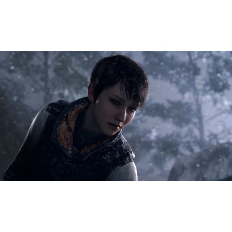 Гра Detroit: Become Human для PS4 (Blu-ray диск) RU